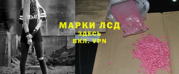 гидра Горняк