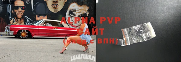 прущие грибы Горно-Алтайск