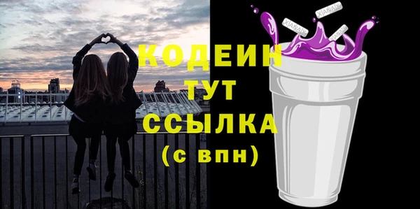 гидра Горняк