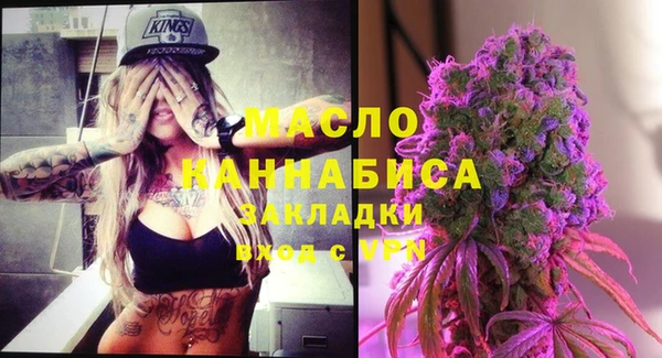 гидра Горняк