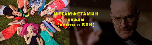 прущие грибы Горно-Алтайск