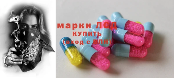 прущие грибы Горно-Алтайск