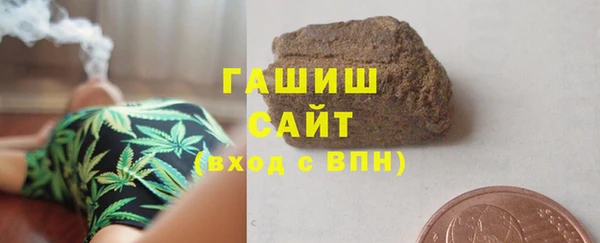 прущие грибы Горно-Алтайск