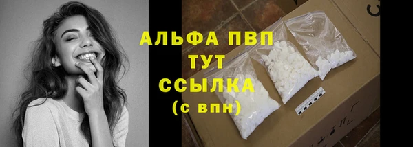 гидра Горняк