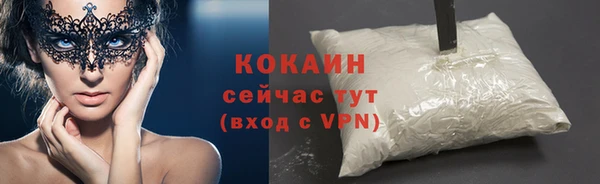 прущие грибы Горно-Алтайск