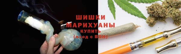 прущие грибы Горно-Алтайск