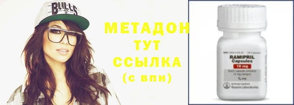 гидра Горняк
