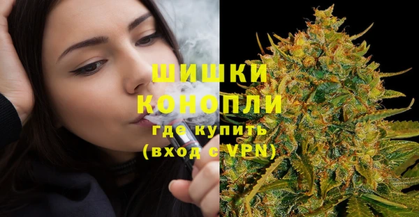 гидра Горняк