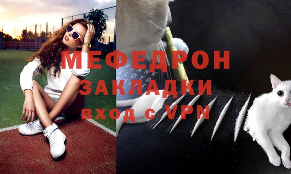 прущие грибы Горно-Алтайск