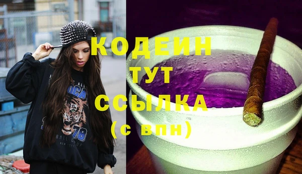 прущие грибы Горно-Алтайск