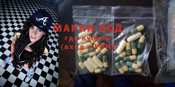 гидра Горняк