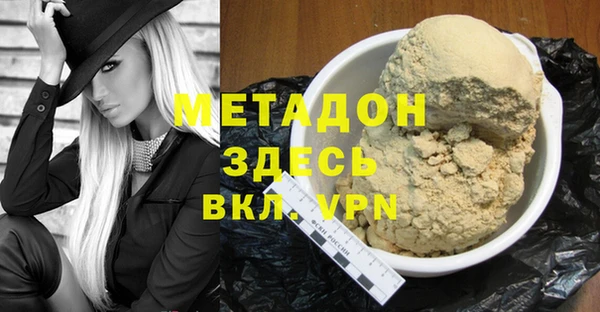 гидра Горняк