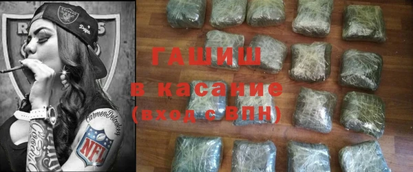 гидра Горняк
