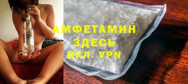 прущие грибы Горно-Алтайск