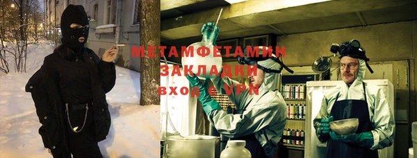 прущие грибы Горно-Алтайск