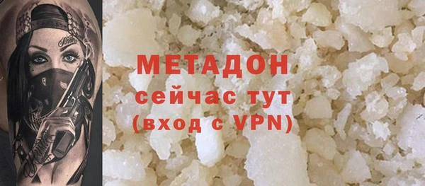 прущие грибы Горно-Алтайск