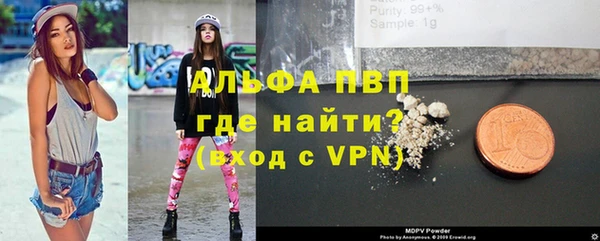 гидра Горняк