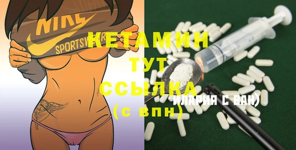 гидра Горняк