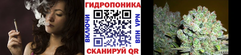 Купить  Зея  Бошки Шишки SATIVA & INDICA 